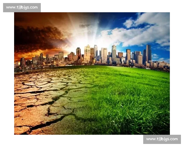 美国对阵比利时焦点之战实力碰撞引爆全球关注与走向悬念全面解读